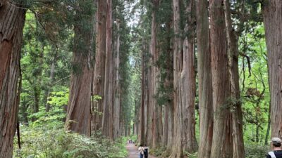 神社参拝の効能