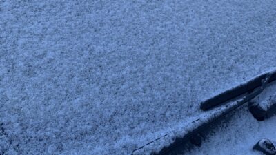 冷え込んできました