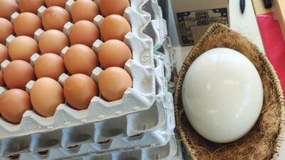 そわそわ・・・