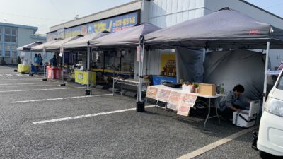 木の玉つかみゲームで最高記録！