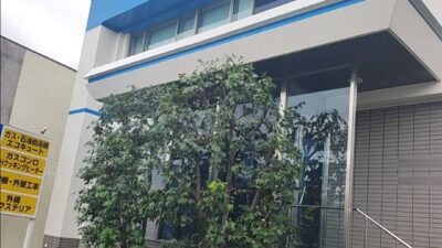 植栽も夏仕様に