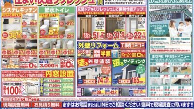本日の折込みチラシ