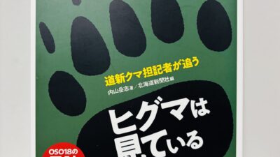 クマについて
